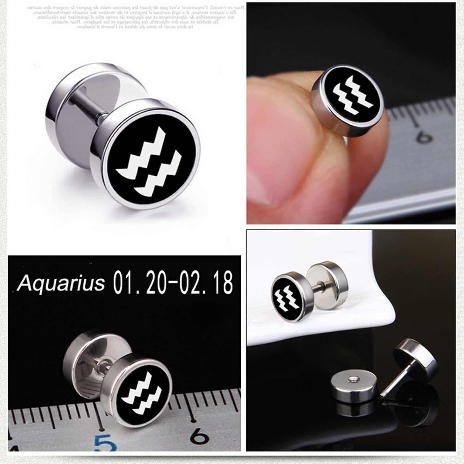 Stainless Steel Zodiac Sign Stud Earrings for Women & Men - Perfect for Daily Wear, Gifts & Astrology Lovers