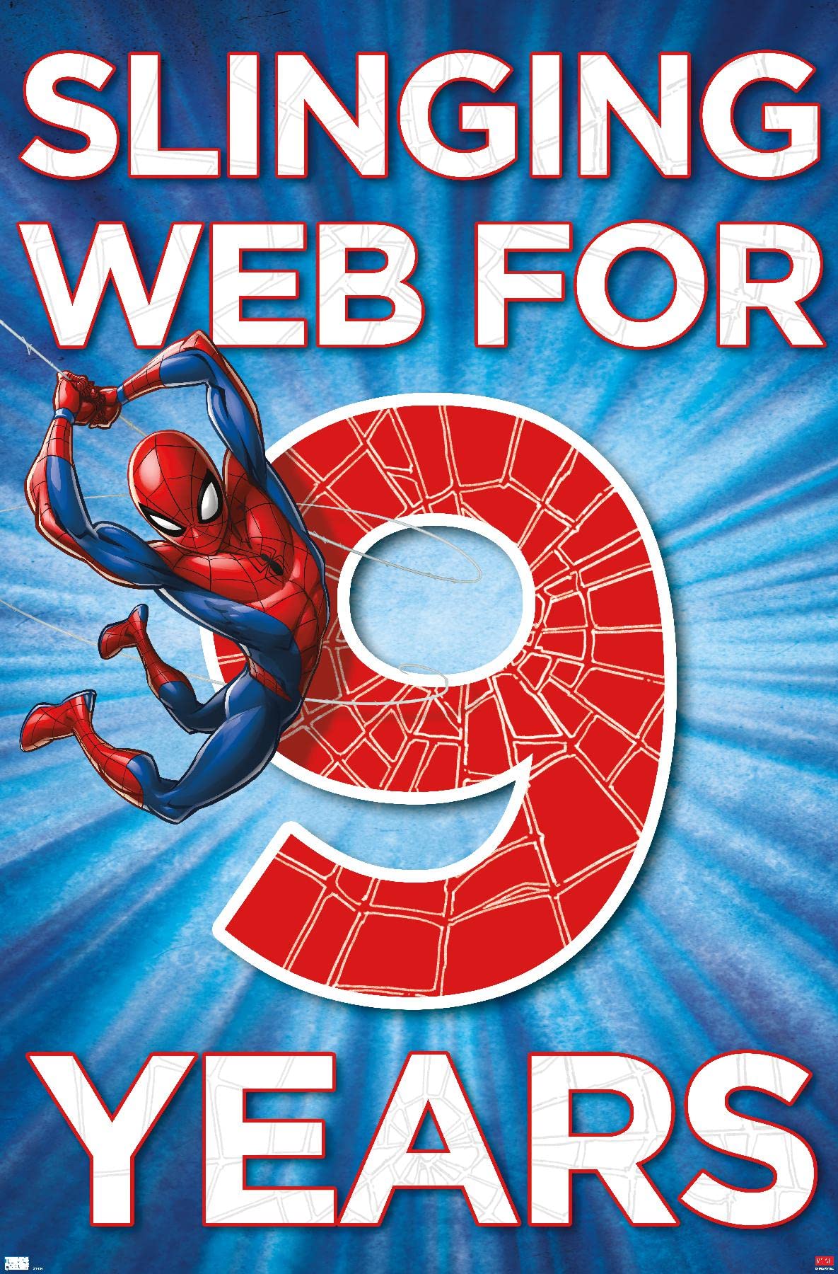 Marvel Spider-Man Happy 9th Birthday Wall Poster - 34