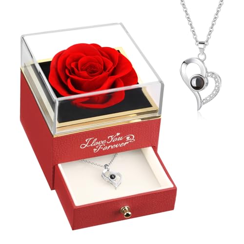 A_red Rose