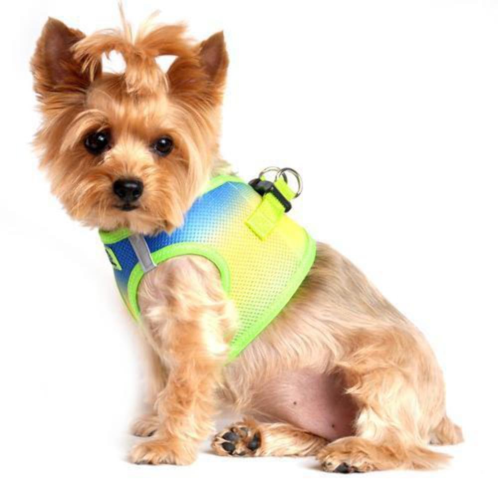 DOGGIE DESIGN American River Dog Harness - Ombre Collection in Cobalt Blue | Adjustable Sport Harness for Hiking, Running & Outdoor Adventures