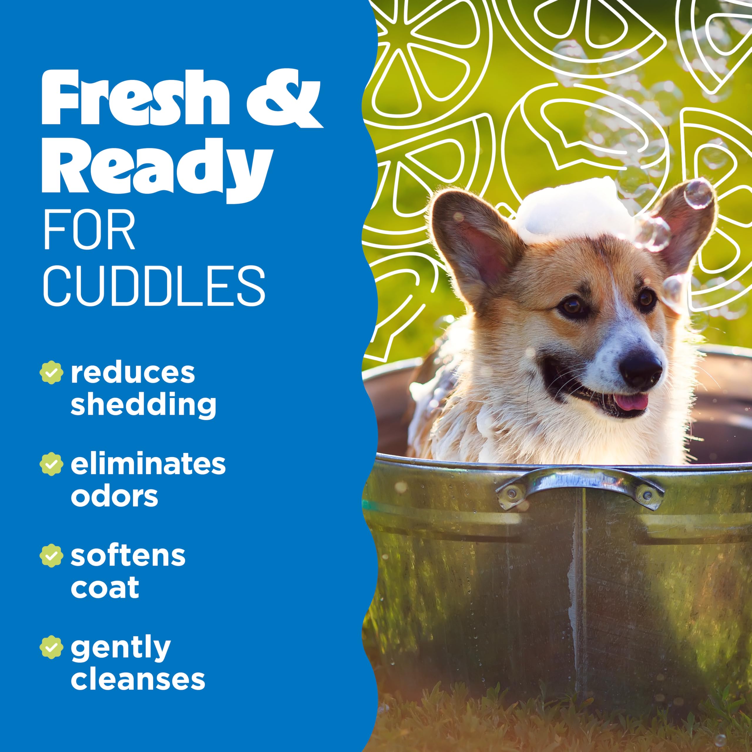 TropiClean Deshedding Dog Shampoo for Shedding Control - Professional Strength, Fast-Acting Formula, Safe for Puppies - Lime & Coconut Scented, Made in USA (2.5 Gallon) - Perfect for Bath Time & Grooming Sessions