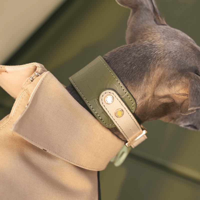 Premium Genuine Emerald Green Leather Dog Collar - Adjustable & Durable for Small Medium Large Dogs - Perfect for Daily Walks, Training & Fashion Accessories