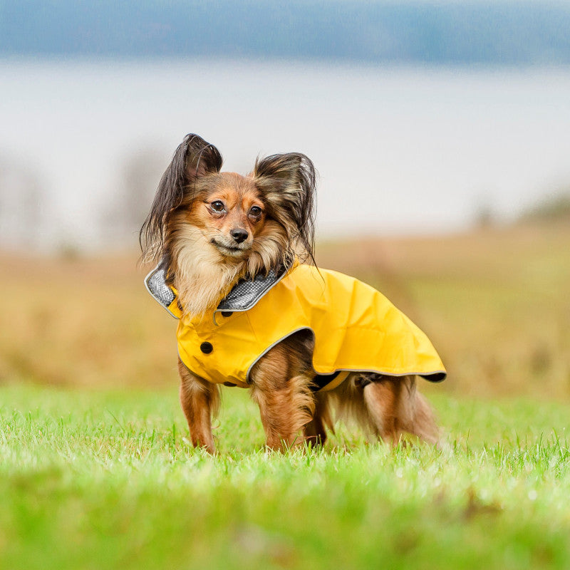 Rukka Pets Waterproof Dog Raincoat - Lightweight & Reflective for Small to Medium Dogs - Perfect for Walking in Rainy Weather