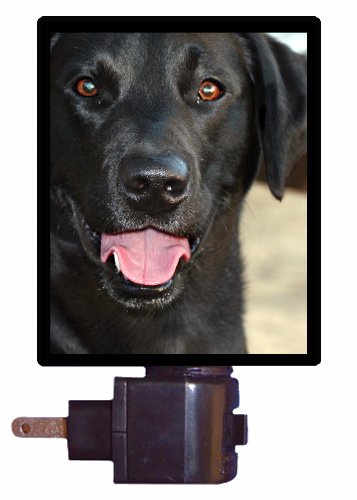 Black Lab LED Night Light for Dogs - Labrador Retriever Themed Pet Night Light for Bedroom, Nursery & Hallway Safety