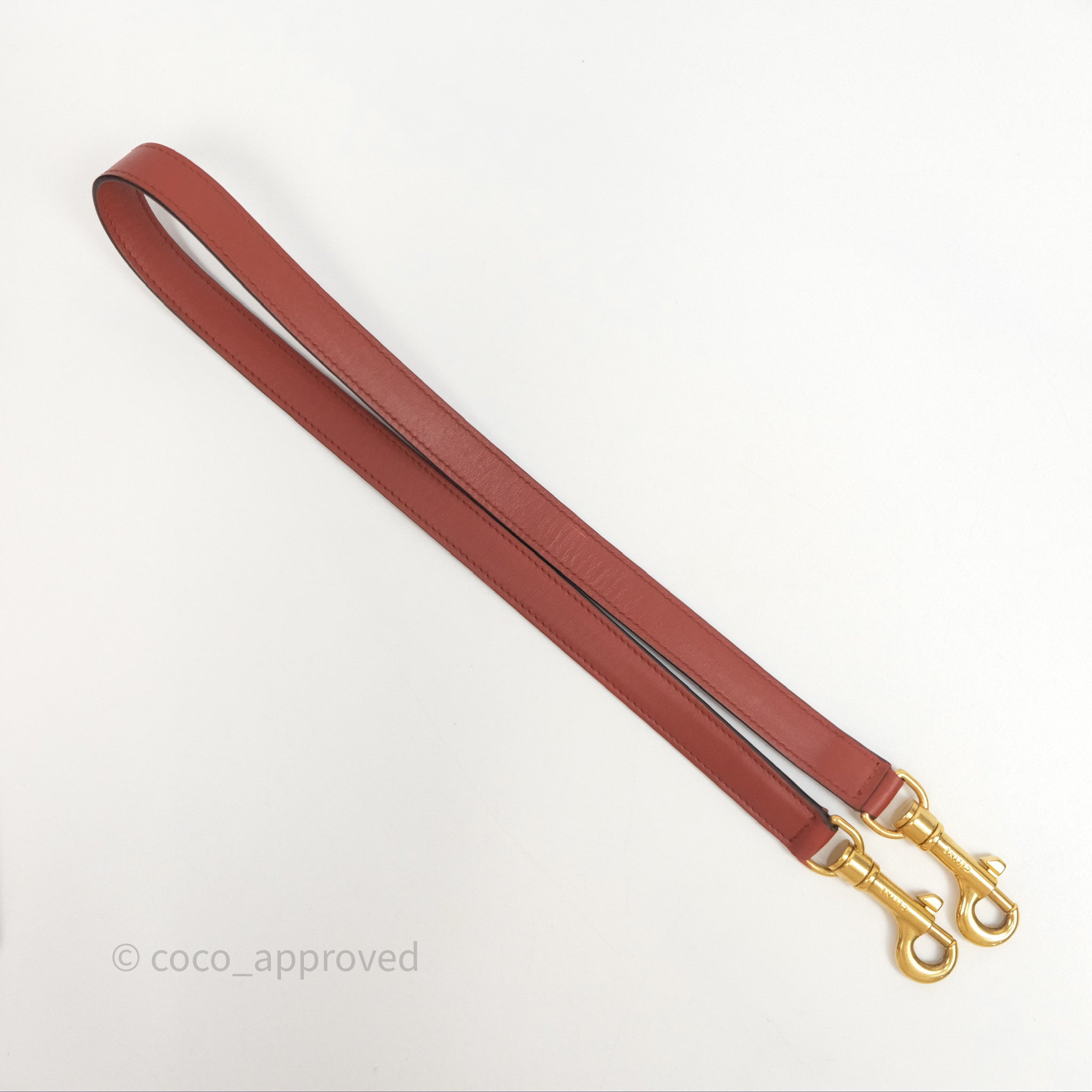 Celine Mini Belt Bag in Brick Red Grained Goatskin Leather with Gold Hardware - Perfect for Everyday Use, Work & Travel