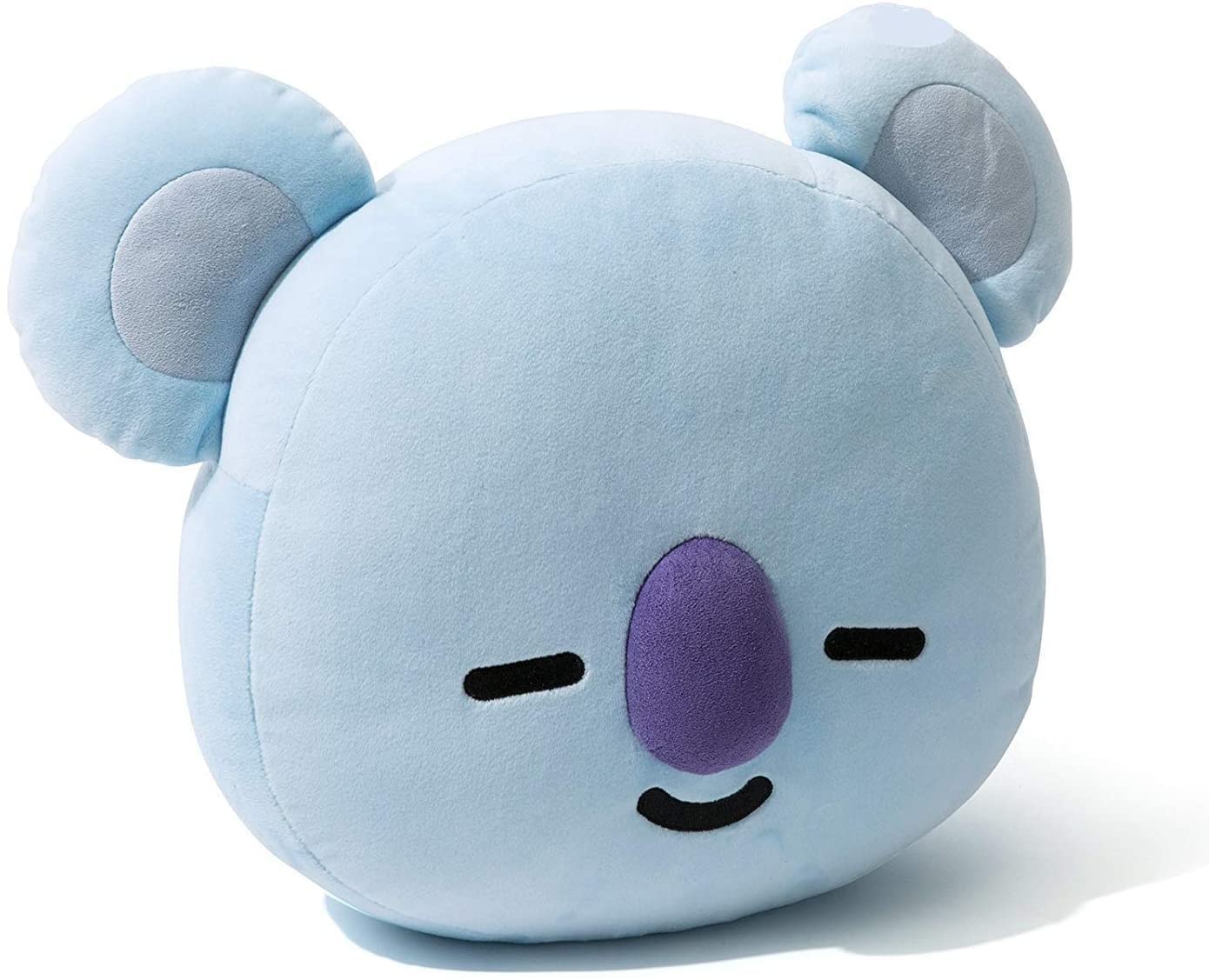 A Heartwarming Journey with Koya: The Perfect Companion for Every Adventure