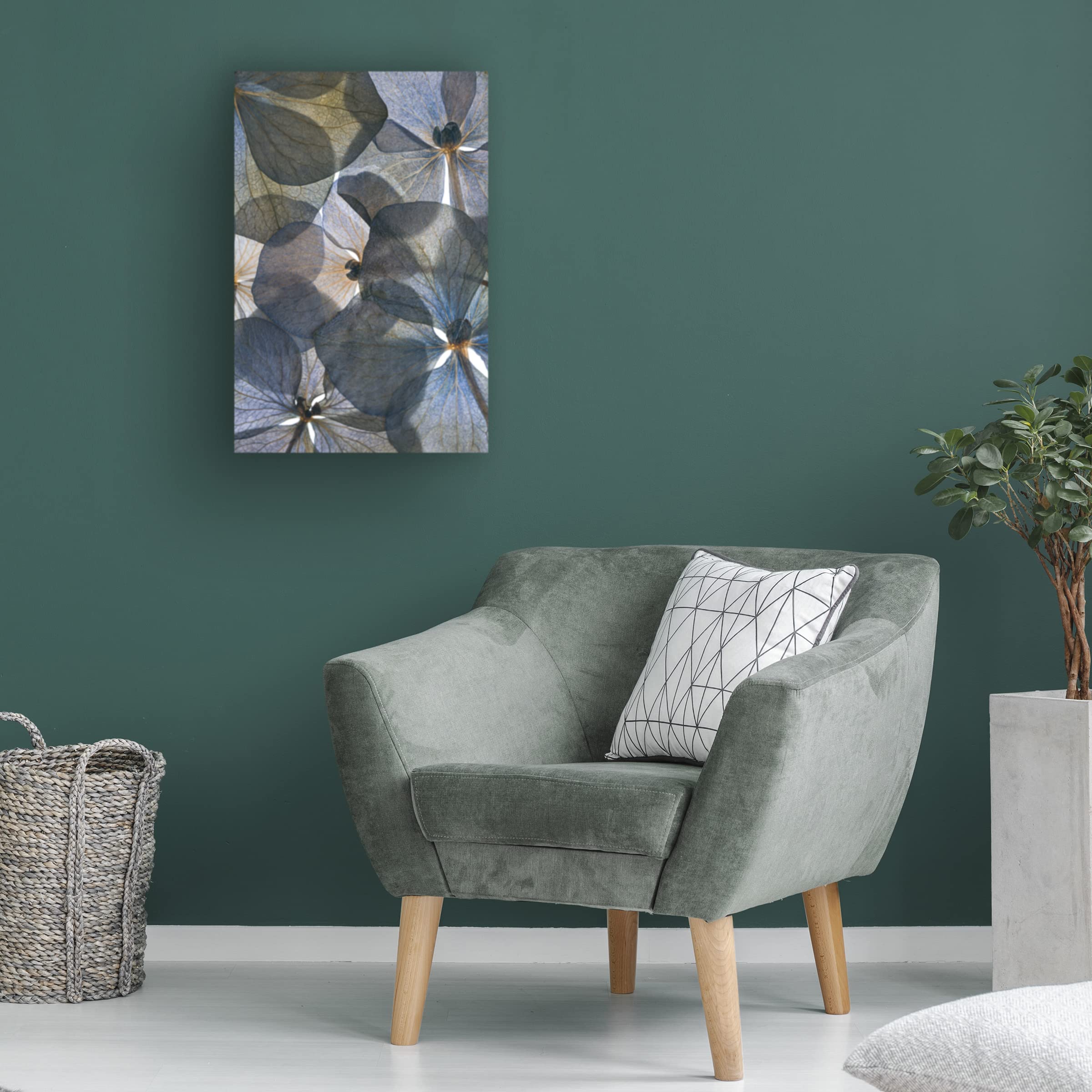 Lenka's 'Botanical 26' Floral Canvas Wall Art Print - Modern Home Decor for Living Room, Bedroom & Office | Trademark Fine Art Collection