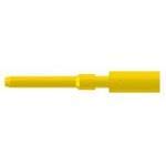 7.010.901.502 Straight Connector Cap - Copper Zinc Alloy with Gold Nickel Plating (10-Pack) - Ideal for Electrical Wiring, Automotive and Industrial Applications