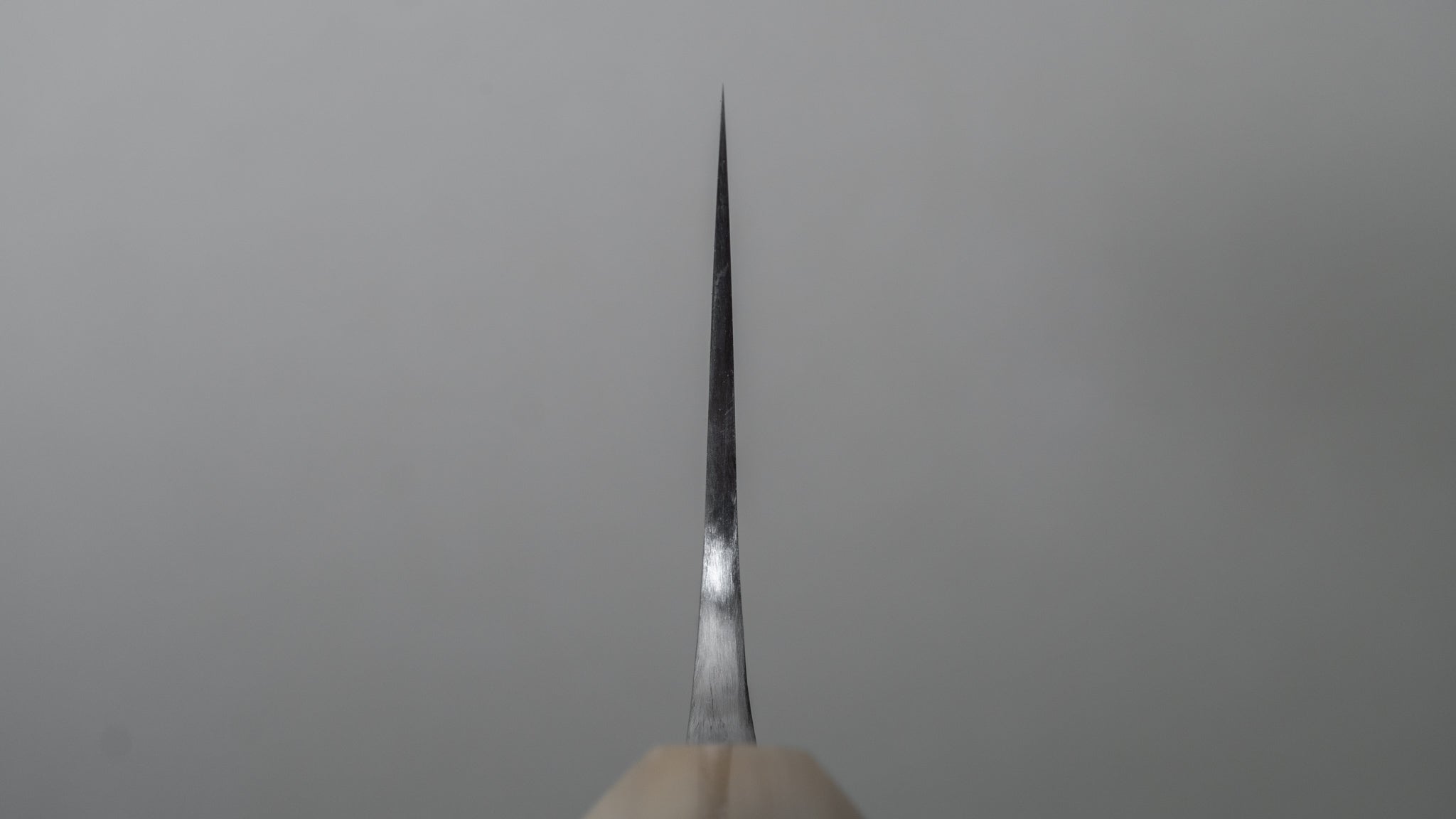 Premium Jiro Tsuchime Wa Gyuto 225mm Japanese Chef Knife with Taihei Tagayasan Handle - Perfect for Sushi, Meat Cutting & Professional Kitchen Use (#544)