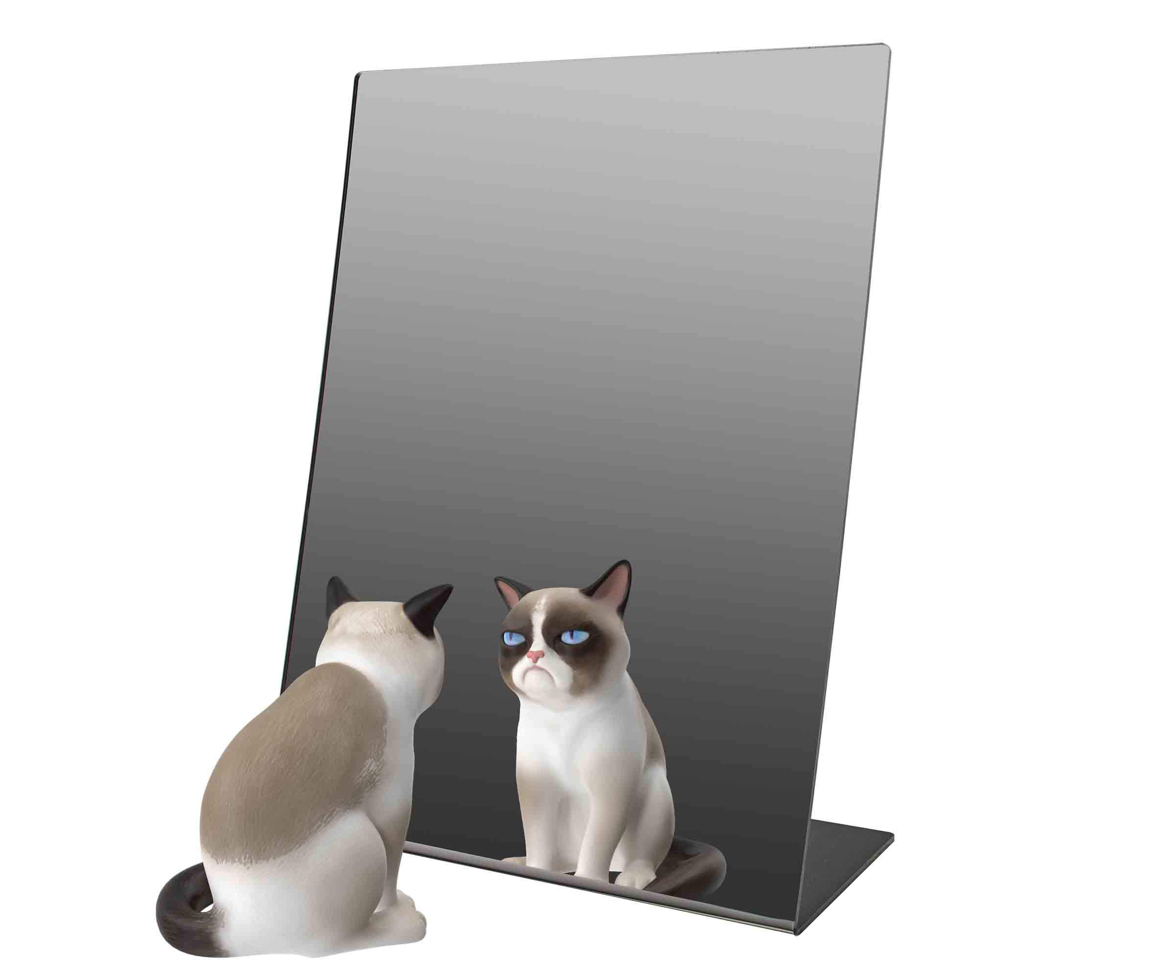 6 Pack Acrylic Easel Mirror 9