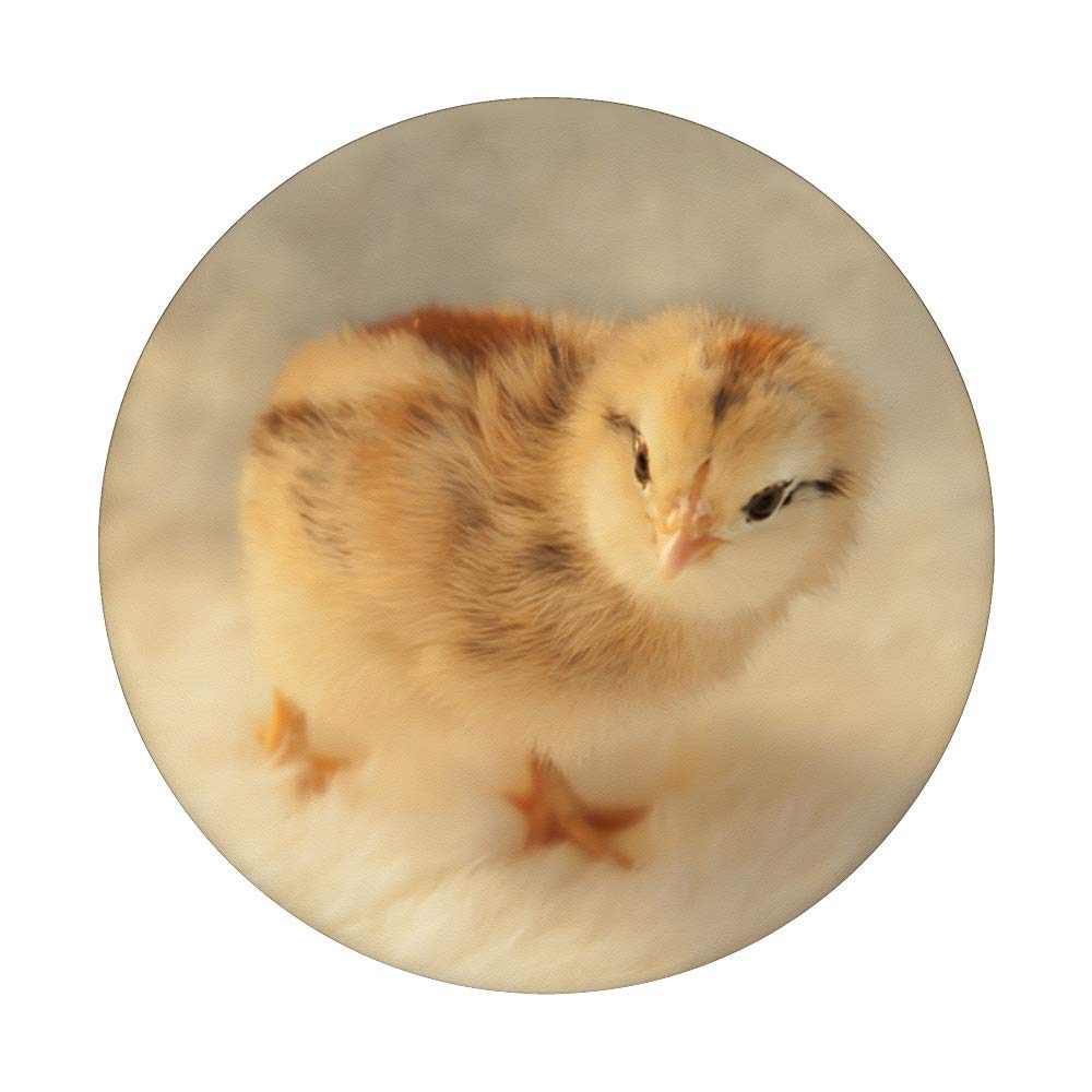 Fluffy Yellow Baby Chick PopSockets Phone Grip & Stand - Compatible with iPhone, Samsung, Tablets - Perfect for Kids, Easter Gifts & Spring Decor