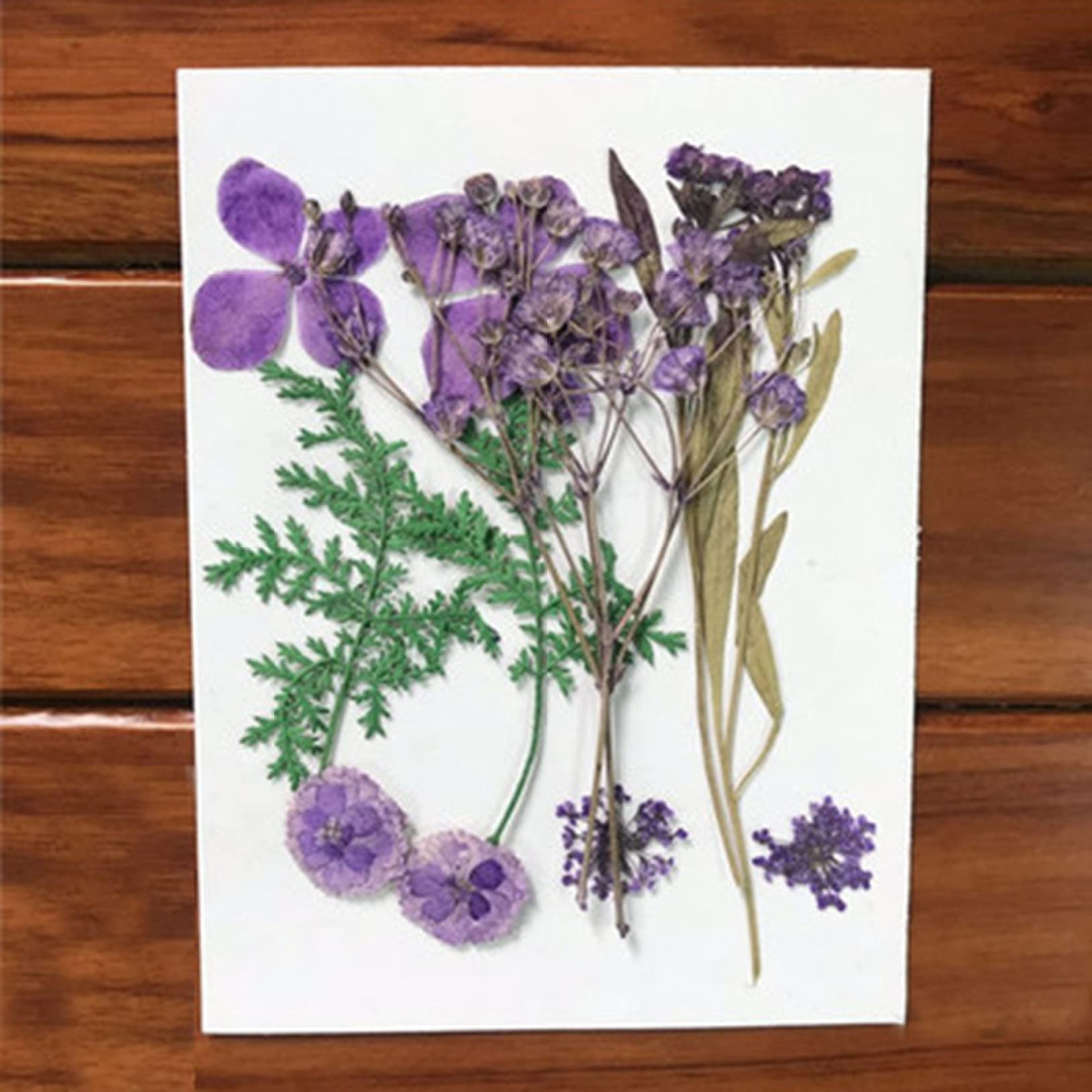 Pressed Flower Mixed Dried Flowers for Aromatherapy Candles, Greeting Cards, Epoxy Resin Crafts & DIY Jewelry Making - Perfect for Home Decor, Wedding Favors, and Handmade Gifts