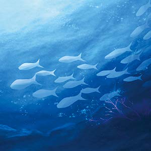 Z-Ocean