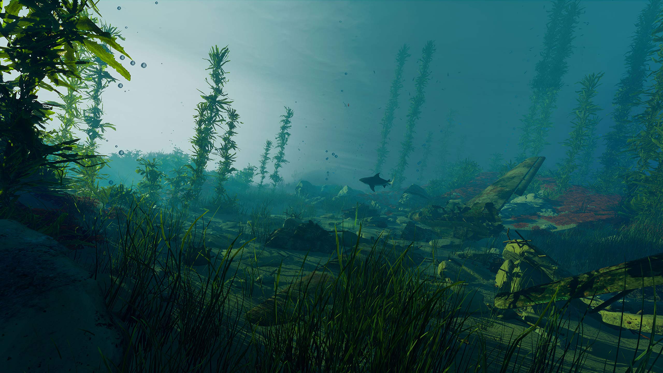 Maneater - PS4 Game for PlayStation 4 | Action RPG Underwater Adventure | Perfect for Shark Lovers & Open-World Gamers | Great for Single-Player Story Mode & Casual Gaming Sessions