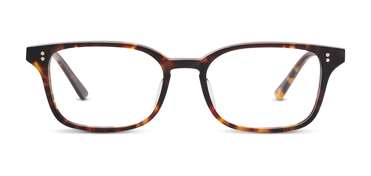 Livingston 50 RX Glasses | Vintage Leaf Pattern Eyewear for Men & Women – Perfect for Reading, Driving, and Outdoor Activities