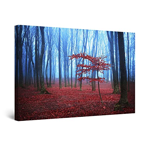 Red Blue Fog