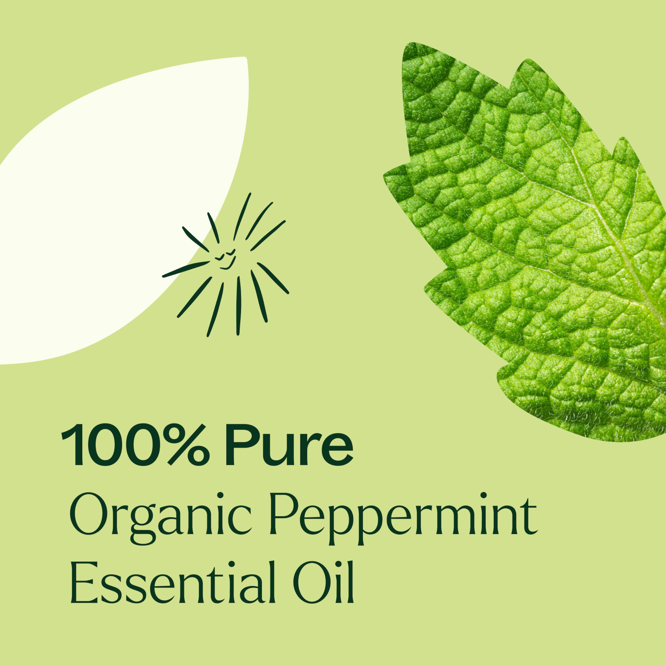 Organic Peppermint Essential Oil 100% Pure - USDA Certified, Undiluted Natural Aromatherapy Oil for Diffusers, Skin & Hair Care - Therapeutic Grade 10mL (1/3 oz) - Perfect for Relaxation, Stress Relief & Home Spa Treatments