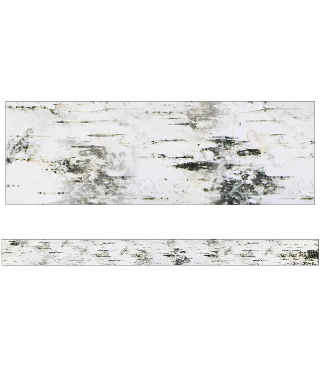 Birch Tree Straight Bulletin Board Borders - Decorative Classroom Trims for Bulletin Boards, Whiteboards & School Displays - Perfect for Teachers, Classrooms & Office Decor