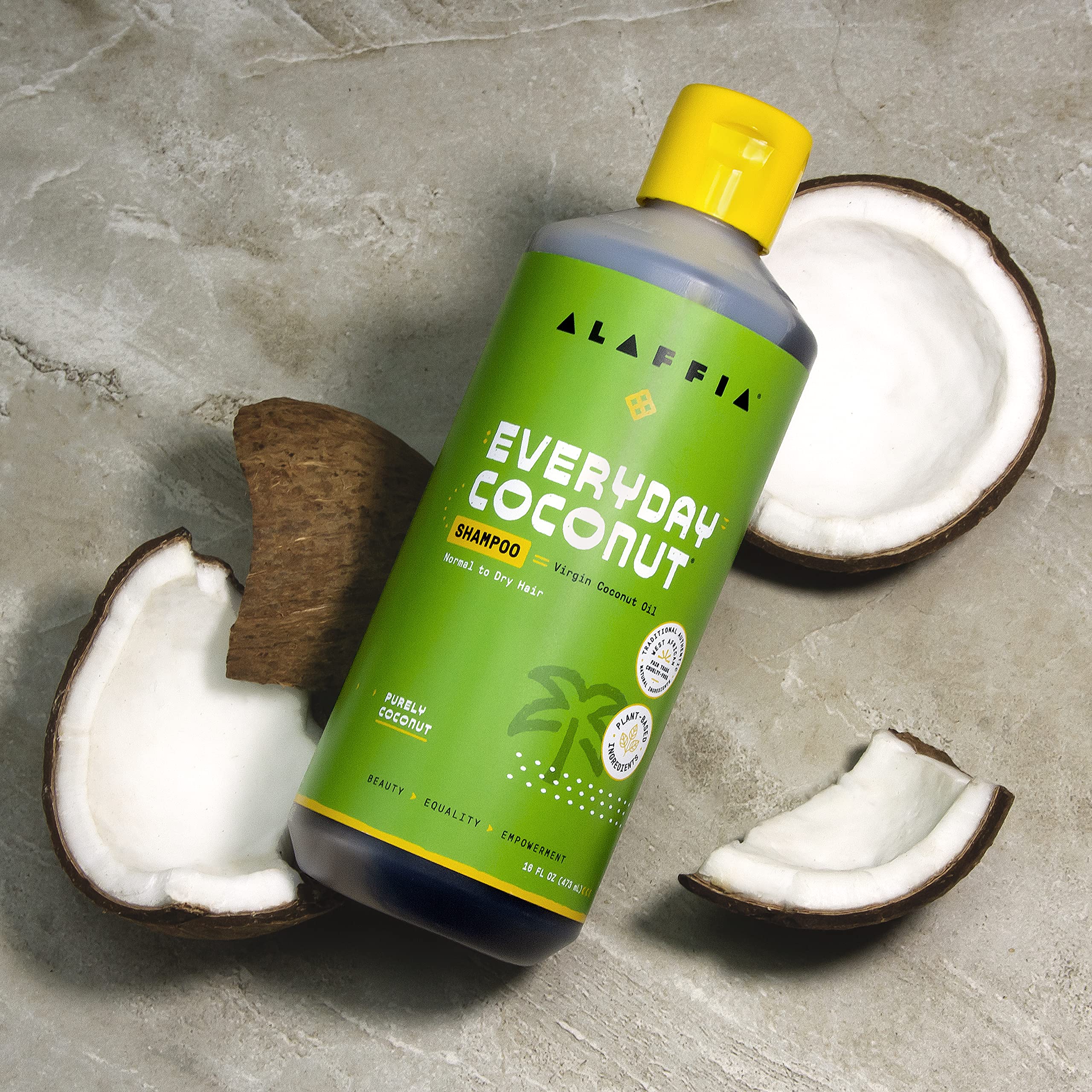 Alaffia Everyday Coconut Shampoo for Wavy & Curly Hair - Gentle Hydrating Shampoo with Vitamin E, Virgin Coconut Oil & Ginger Extract - 2 Pack (16 Fl Oz Each) - Perfect for Daily Cleansing & Moisturizing Dry Hair at Home or Salon