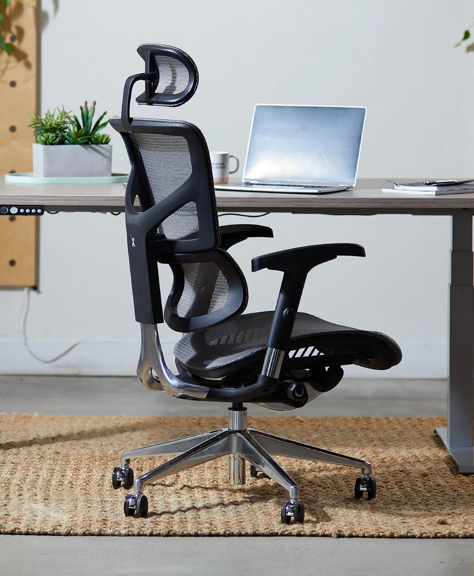 X Chair X2 K Sport Management Chair - Ergonomic Office Chair for Home & Work - Perfect for Gaming, Studying, and Long Work Sessions