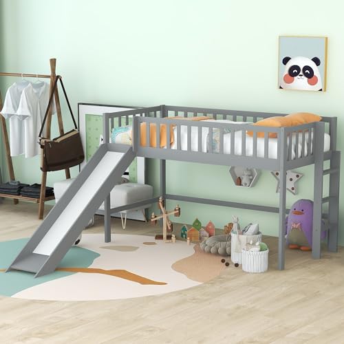 Gray With Slide