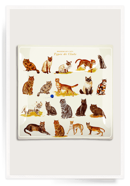 Decorative Glass Tray with Cat Designs - Handmade Decoupage Serving Tray for Tea, Coffee, or Display - Perfect for Home Decor, Gift Giving, and Party Serving