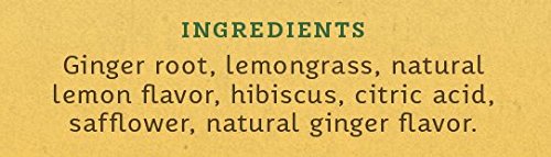 Organic Lemon Ginger Herbal Tea Bags - 1000 Count Bulk Pack | Caffeine Free, Non-GMO, No Artificial Ingredients | Perfect for Relaxation, Digestion & Immune Support
