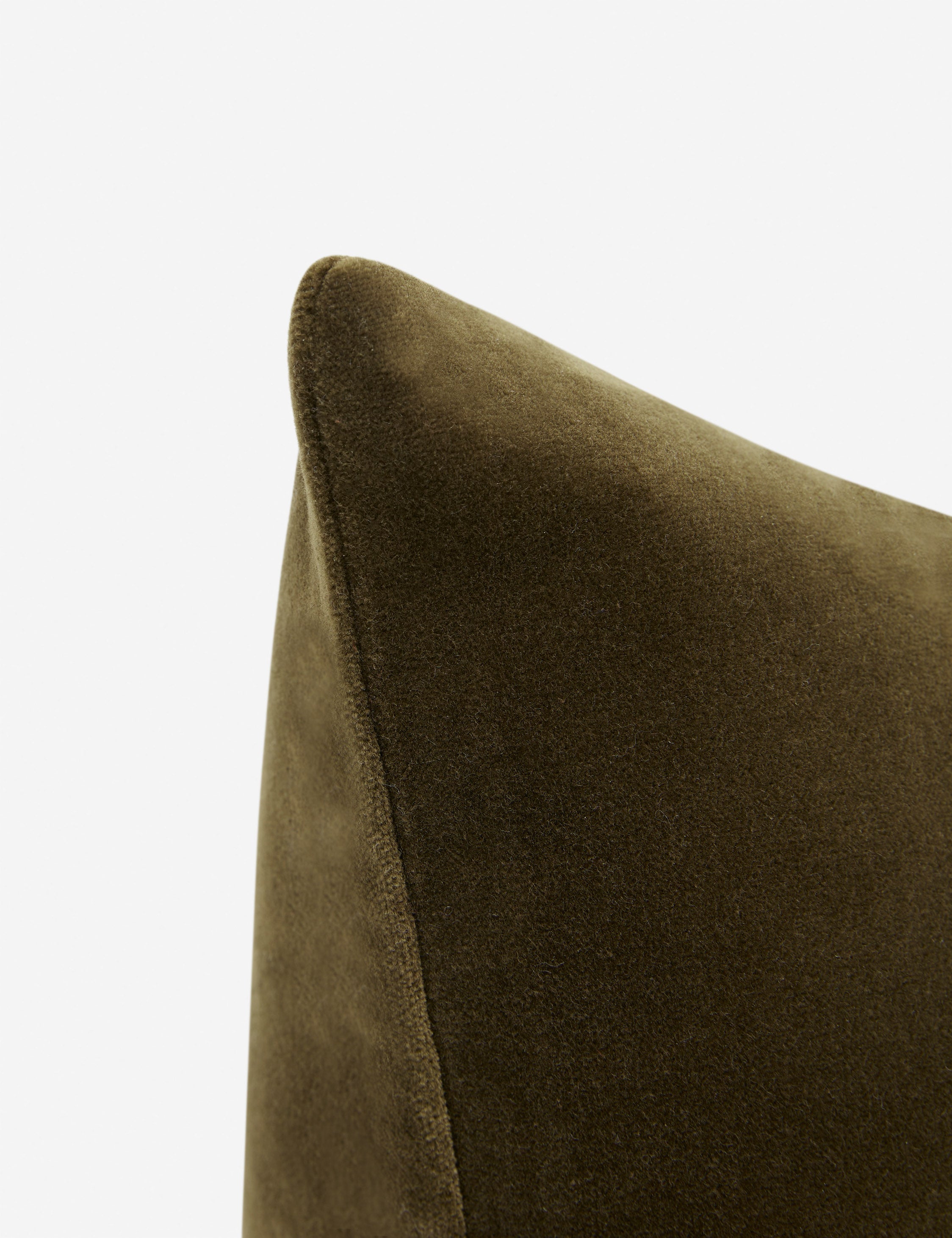 Charlotte Velvet Pillow - Soft Luxury Decorative Throw Pillow for Sofa, Bed & Couch - Perfect for Living Room, Bedroom & Home Decor