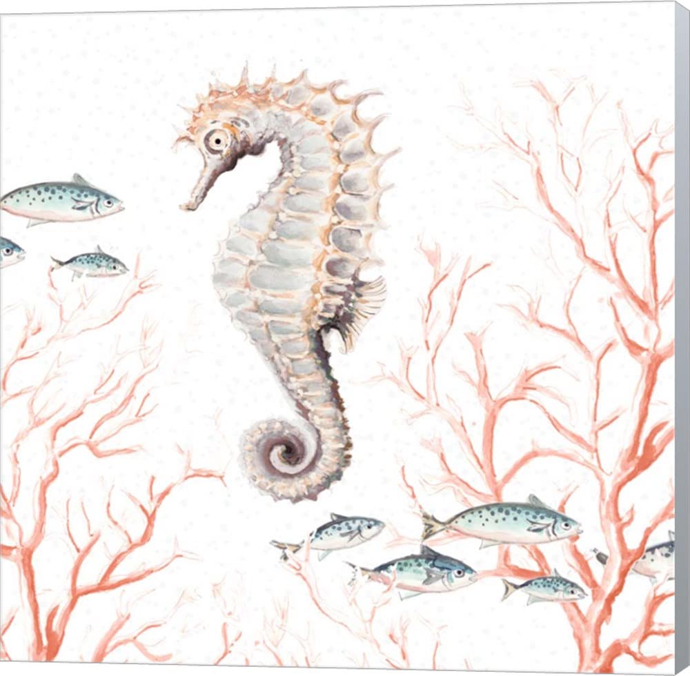 Seahorse on Coral by Patricia Pinto - 12x12 Inch Canvas Wall Art, Museum Wrapped with Winter Gray Sides - Perfect for Living Room, Bedroom & Office Decor