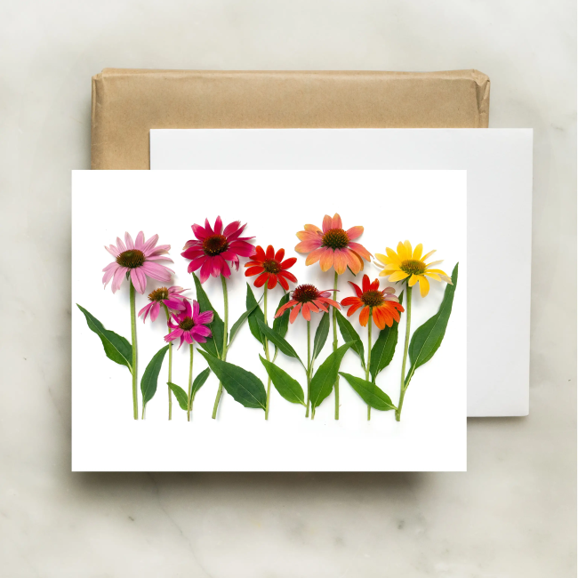 Premium Botanical Greeting Cards with Coneflowers & Bottle Branch Design - Perfect for Birthdays, Anniversaries & Home Decor
