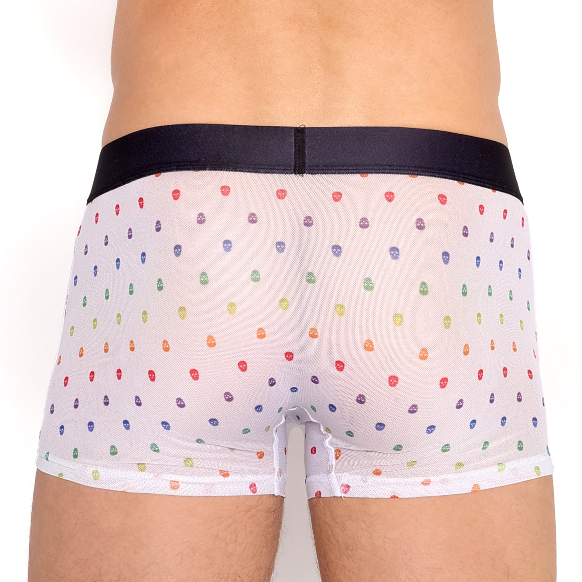 Pride Ditsy Skull White Sheer Mesh Trunk - Gothic Lingerie for Women, Sexy Underwear for Special Occasions & Romantic Nights