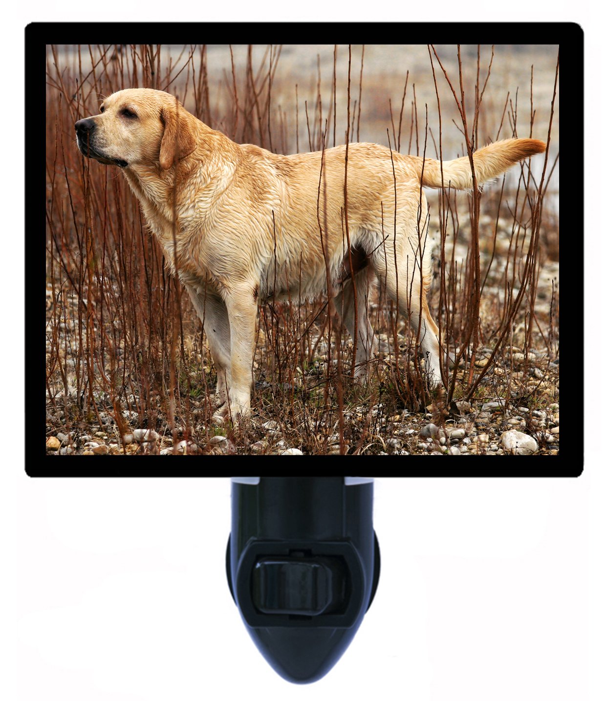 Yellow Labrador Retriever LED Dog Night Light - Soft Glow Pet Safety Light for Bedroom, Nursery & Hallway - Cute Puppy Nightlight for Kids & Dog Lovers