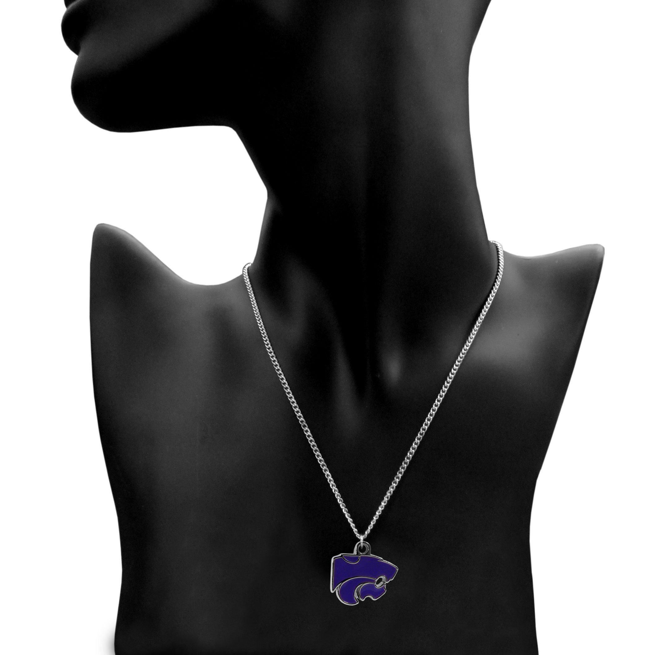Siskiyou Sports NCAA Team Chain Necklace with Small Charm - 20 Inch College Fan Jewelry for Game Day, Spirit Wear & School Pride Accessories