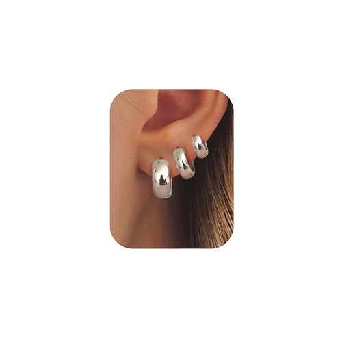 Silver Hoops