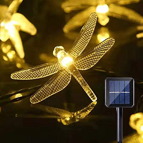 Dragonfly 2