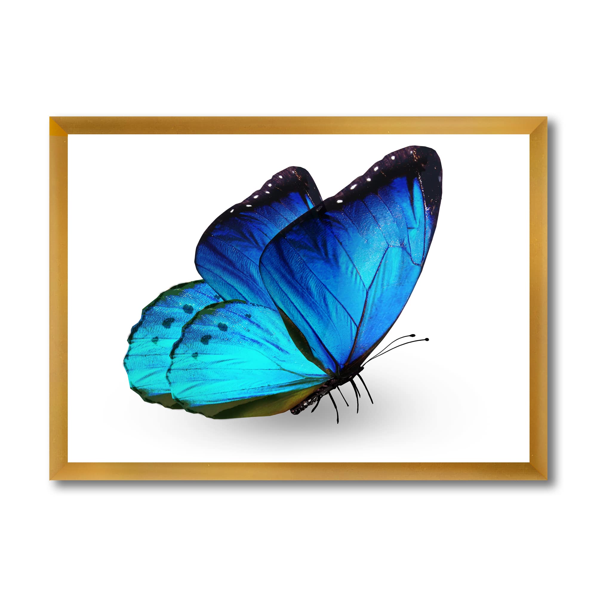 Vibrant Blue Butterfly Modern Framed Wall Art - Elegant Home Decor for Living Room, Bedroom & Office - Perfect Gift for Housewarming & Birthday