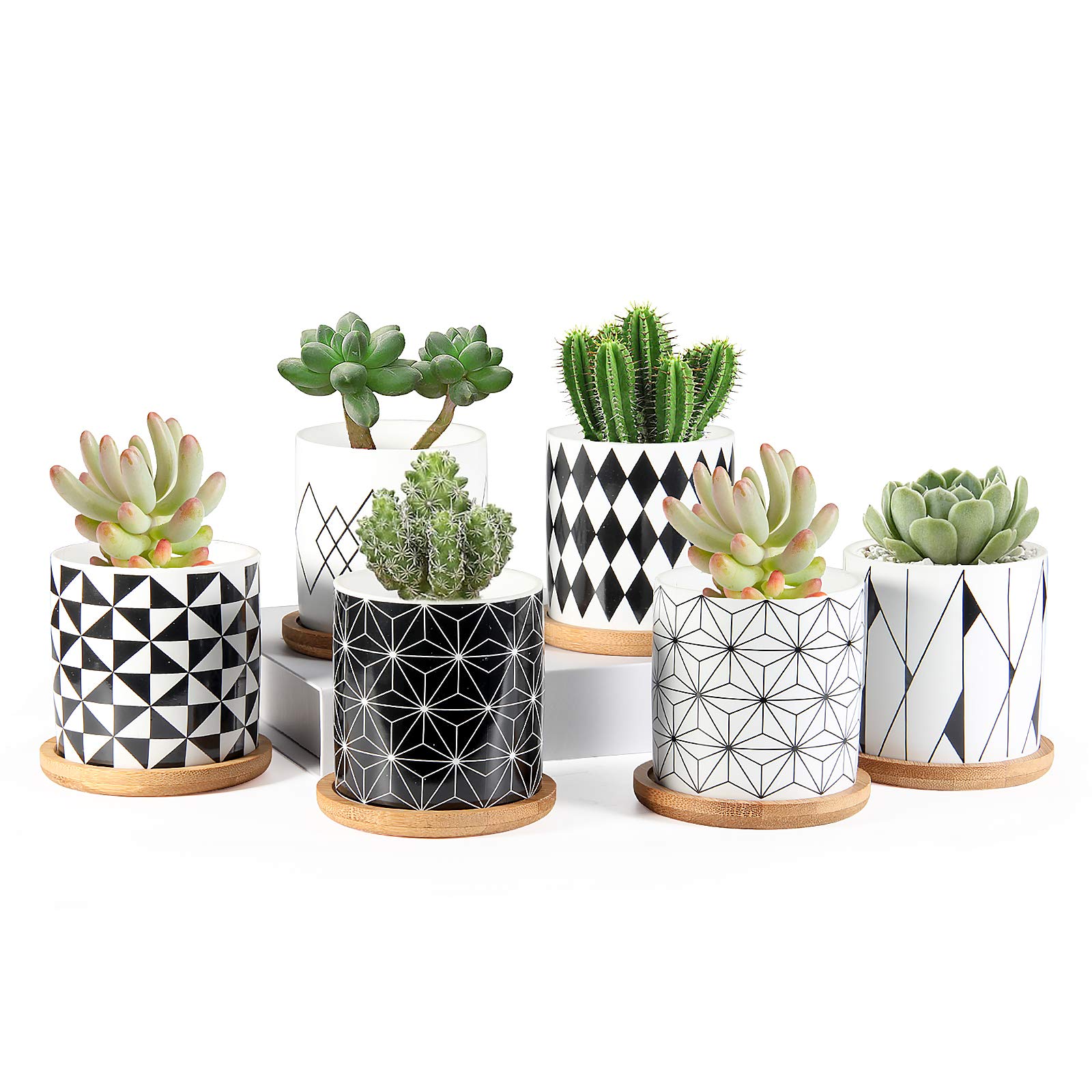 ZOUTOG 3 Inch Ceramic Succulent Pots with Drainage Hole - Pack of 6 Small Geometric Flower Planters with Bamboo Tray for Indoor Plants, Home Decor, Office Desk, and Gift Giving