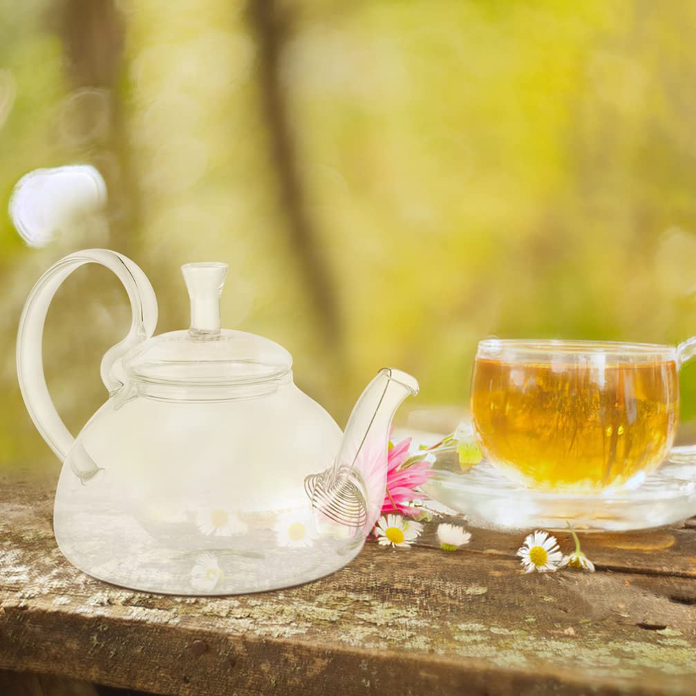 Glass Teapot with Infuser - Heat Resistant Tea Maker Kettle for Home, Hotel & Office - Perfect for Loose Leaf Tea, Herbal Tea & Iced Tea Brewing