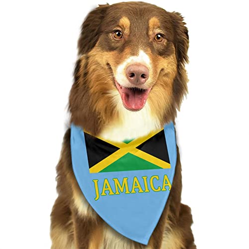 Jamaican Flag2