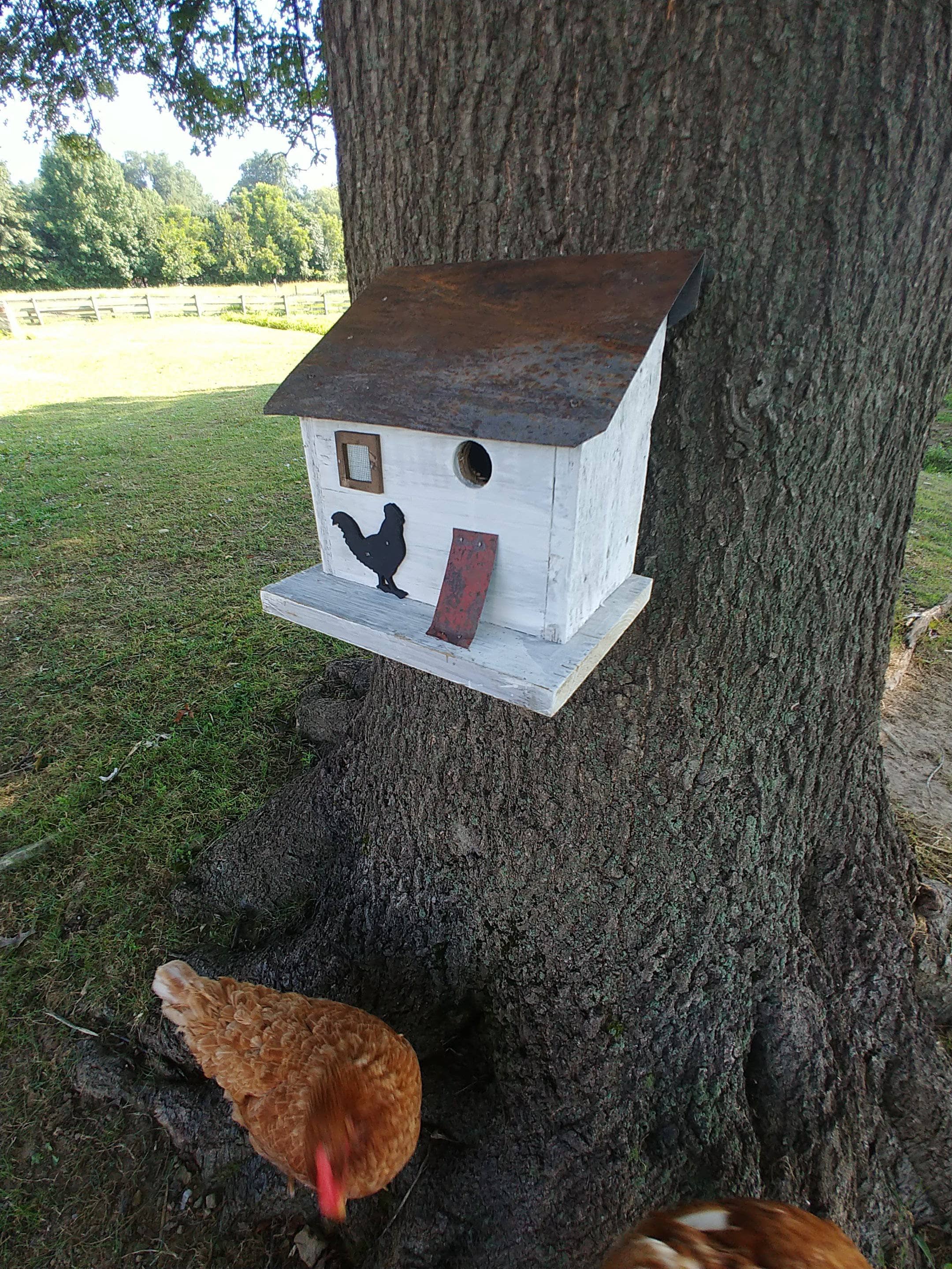 Premium Chicken Coop for Backyard Poultry - Weatherproof Wooden Bird House for Hens & Small Animals - Ideal for Farm, Garden & Outdoor Use