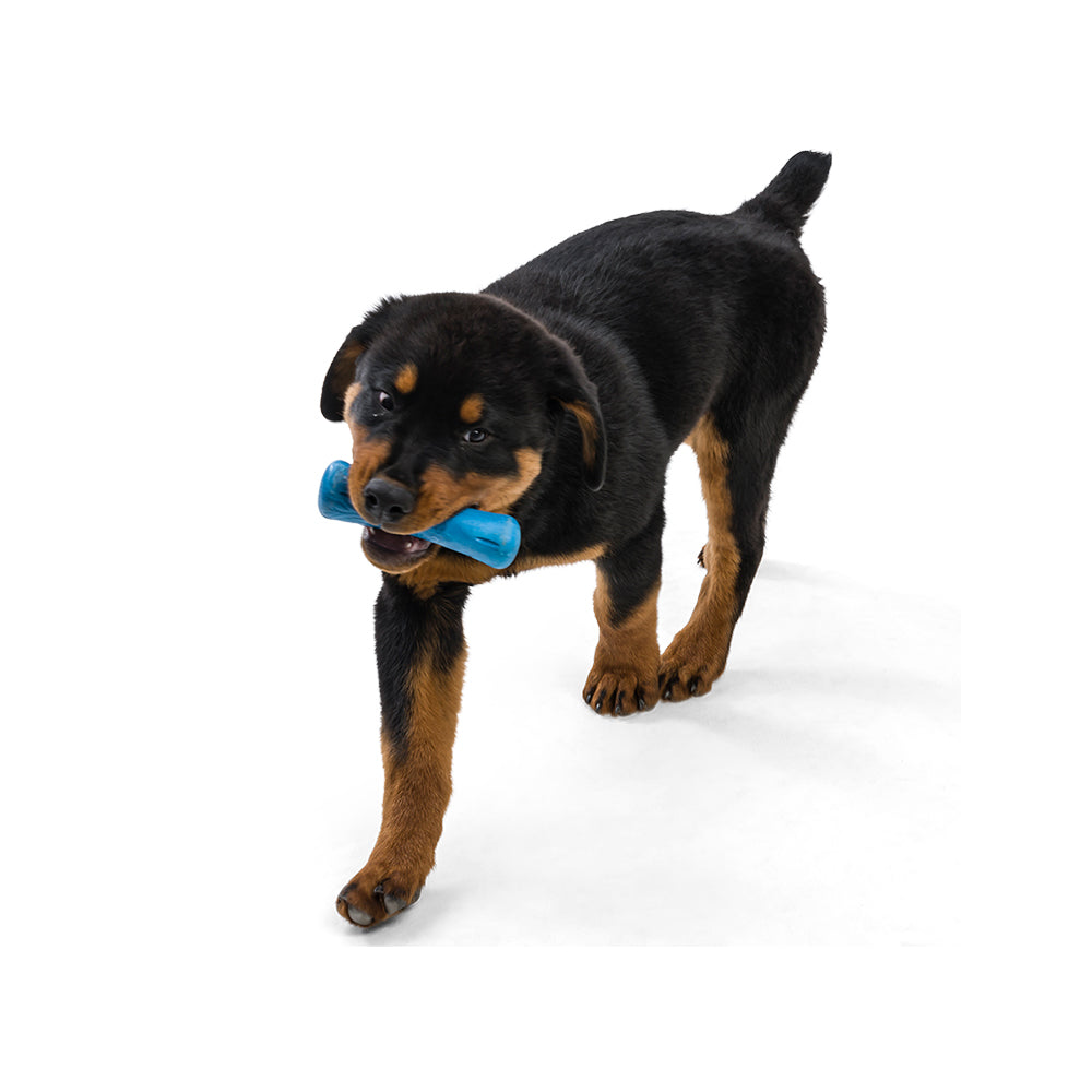 **Durable Drifty Seaflex Dog Bone Chew Toy for Aggressive Chewers - Safe & Long-Lasting Chewing for Large & Small Dogs - Perfect for Playtime, Training & Dental Health**