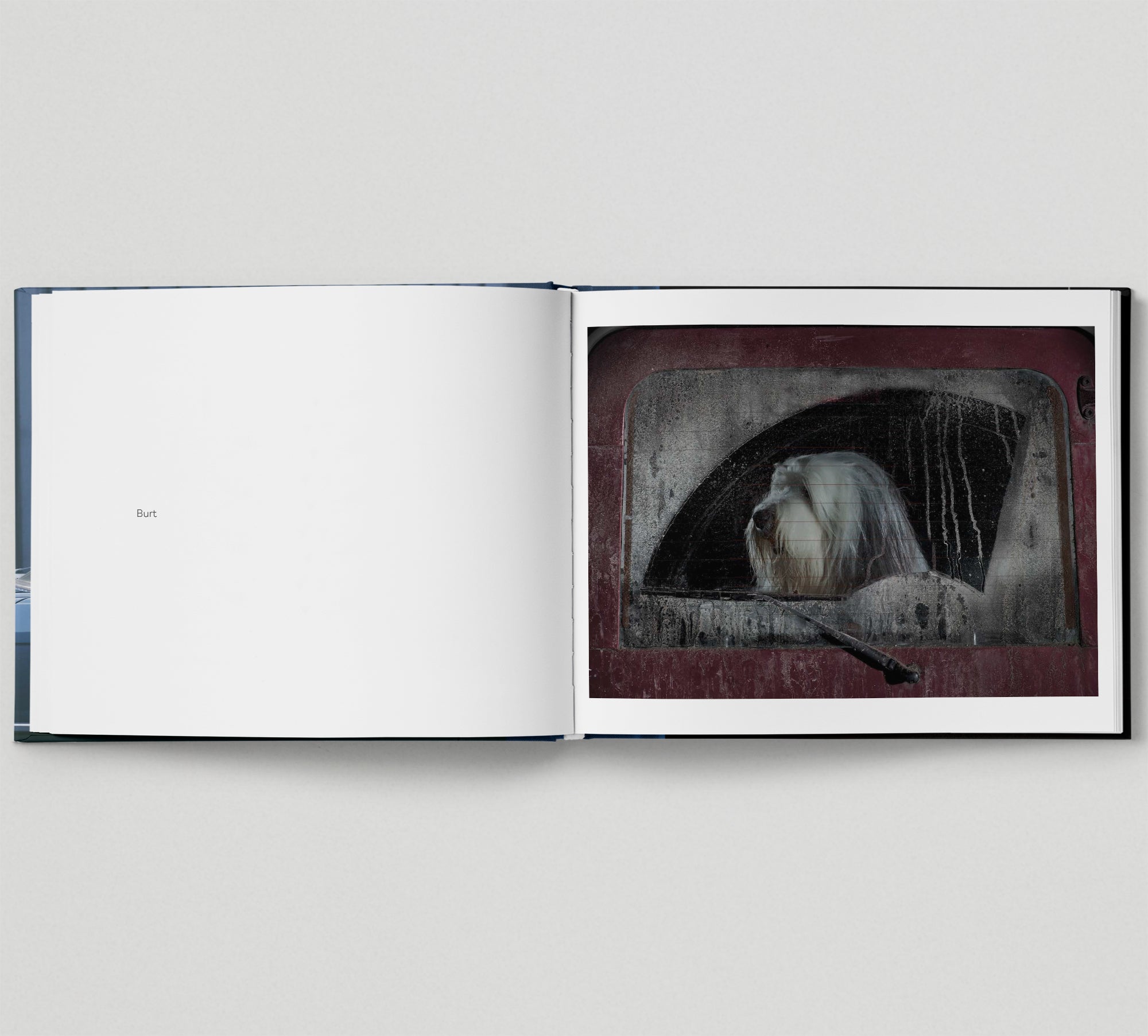The Silence of Dogs in Cars - Thought-Provoking Photography Book for Dog Lovers, Perfect for Coffee Table Decor and Gift Ideas