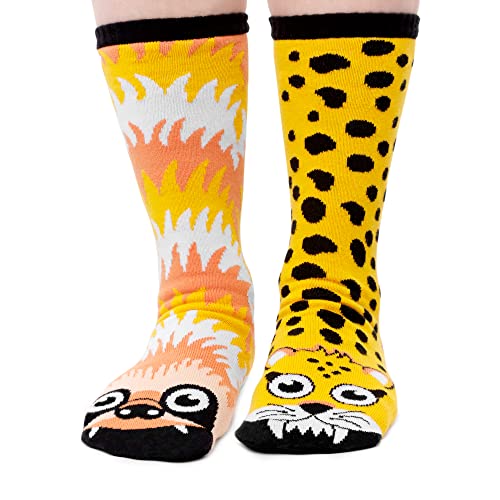 Sloth & Cheetah