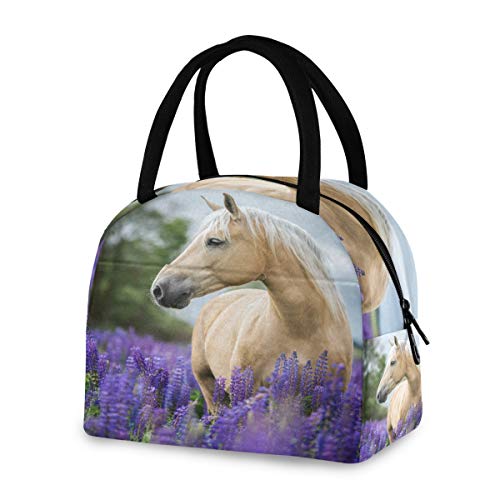 Beautiful Palomino Horse