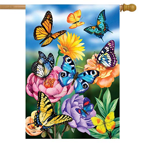 04 - Butterflies