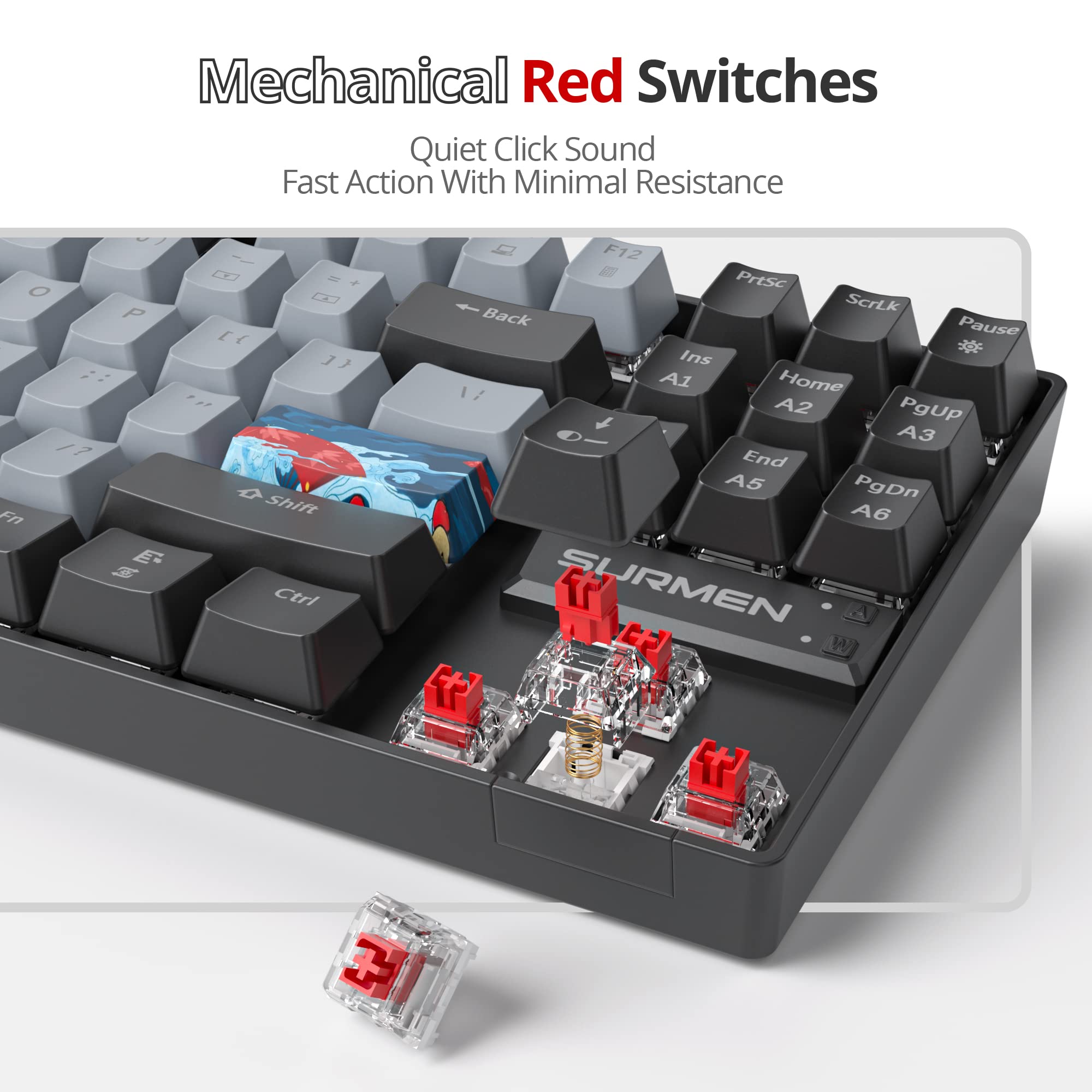 75% Mechanical Gaming Keyboard with Red Switch, RGB Backlit - Compact 87 Keys for PC & Console Gaming