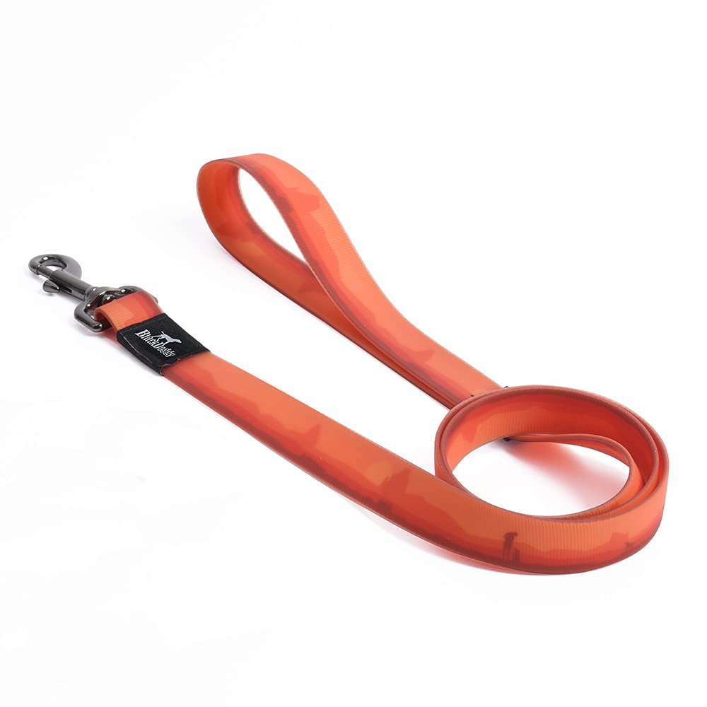 4Ft Waterproof & Odor-Free Dog Leash - Easy to Clean Pet Leash with Heavy Duty Swivel Clasp for Small, Medium & Large Dogs (Small, Orange) - Perfect for Walking, Training & Outdoor Adventures