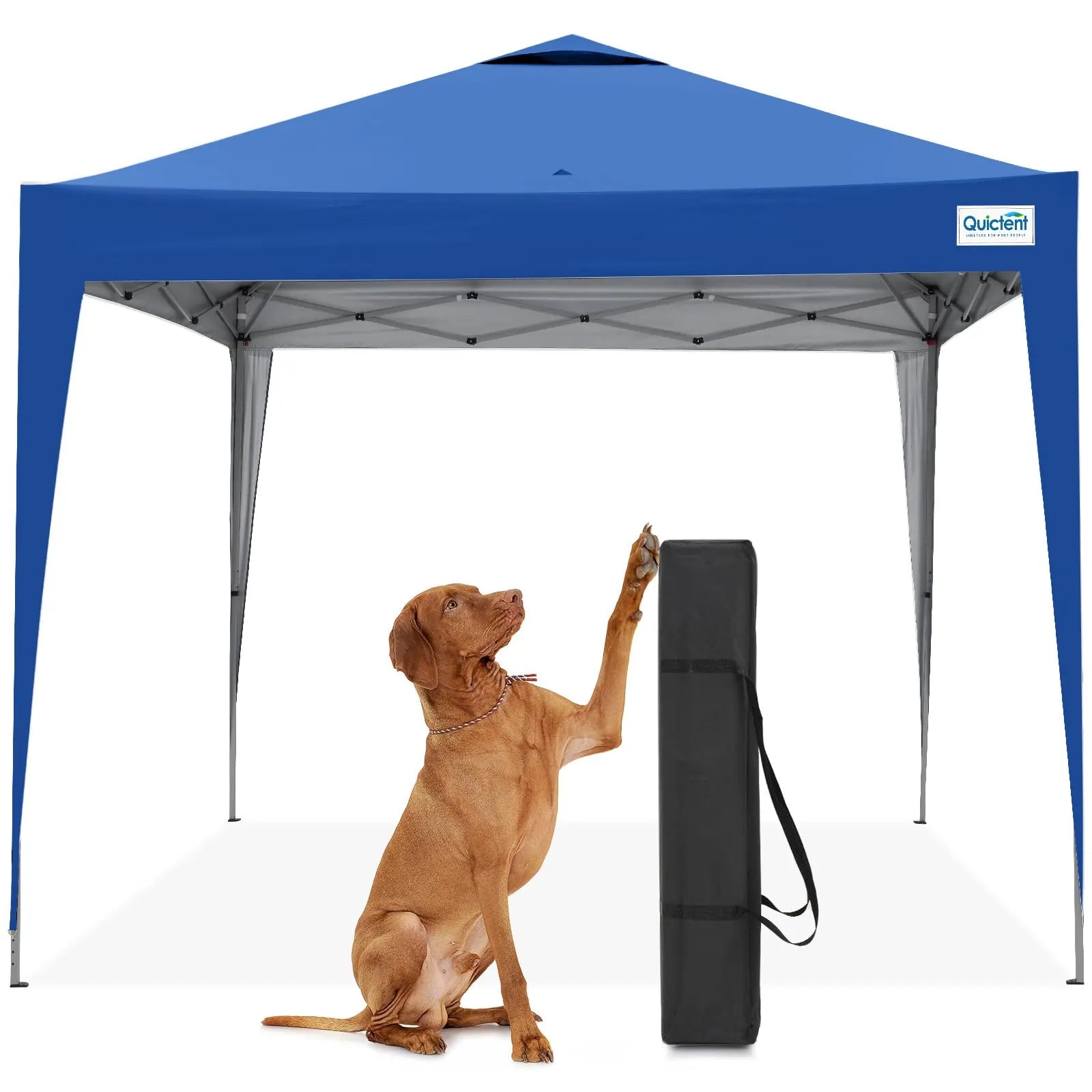 10' x 10' EZ Up Pop Up Canopy Tent with No Side Walls - Instant Shelter for Outdoor Events, Camping, Picnics and Beach Parties