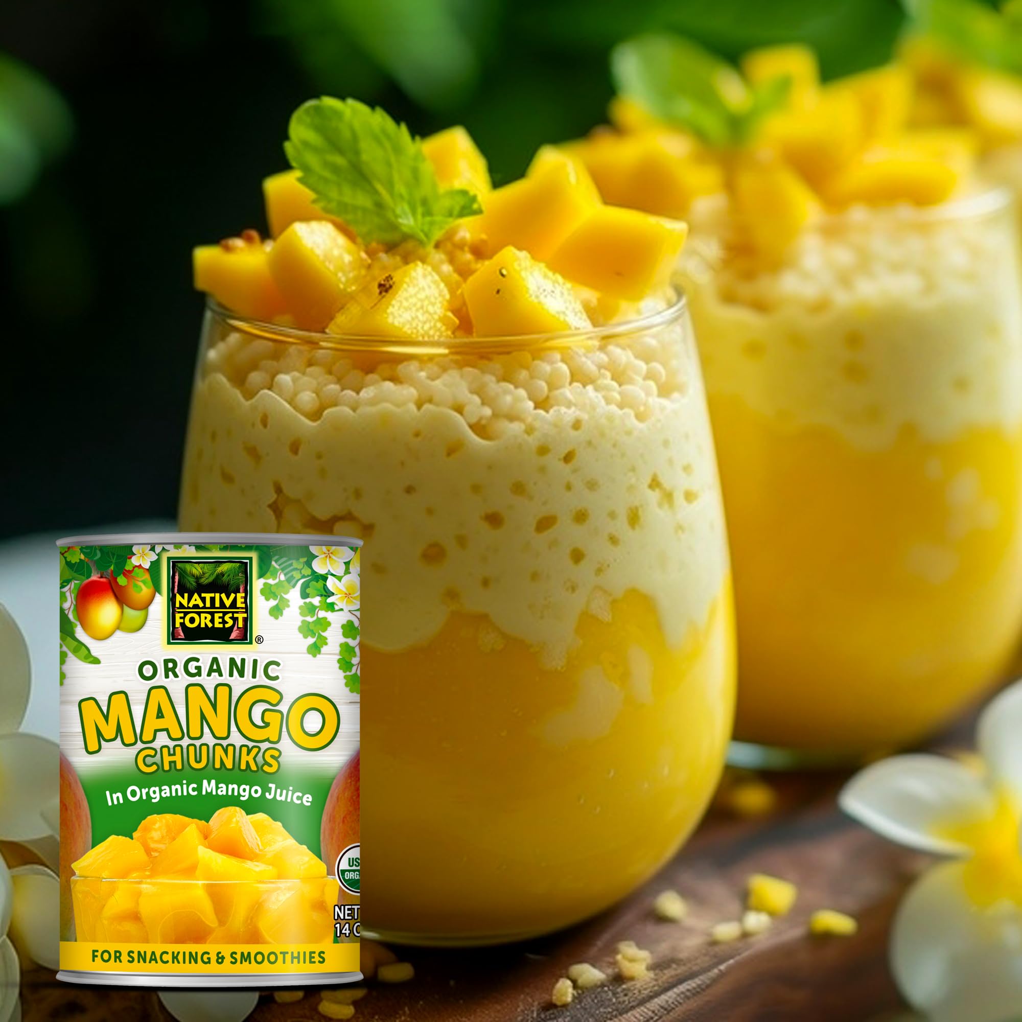Organic Mango Chunks in Light Syrup - No Sugar Added, Non-GMO, Gluten-Free Canned Fruit - 14oz (Pack of 6) - Perfect for Smoothies, Desserts, Yogurt Toppings & Healthy Snacks