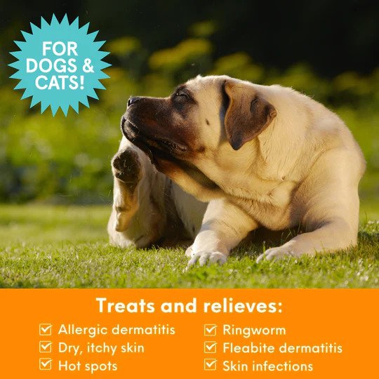 Antimicrobial Medicated Shampoo for Dogs & Cats - Soothes Skin Irritations & Eliminates Odors | Ideal for Pets with Allergies, Hot Spots & Fungal Infections